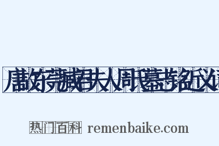 唐故东莞臧君夫人周氏墓志铭近义词是什么意思的图片